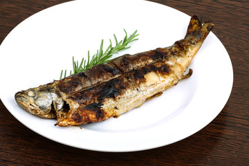 Grilled trout