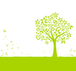 Baum und Wiese