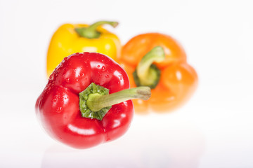 Fresh wet colorful bell peppers