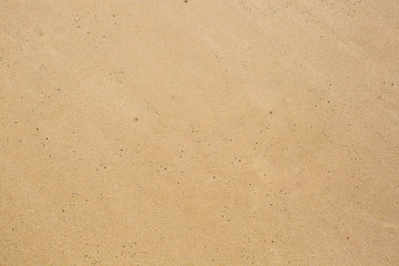 Seamless sand background