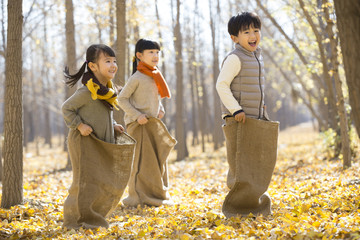 Three children having a sack race in autumn woods