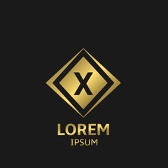Obraz premium Letter X logo