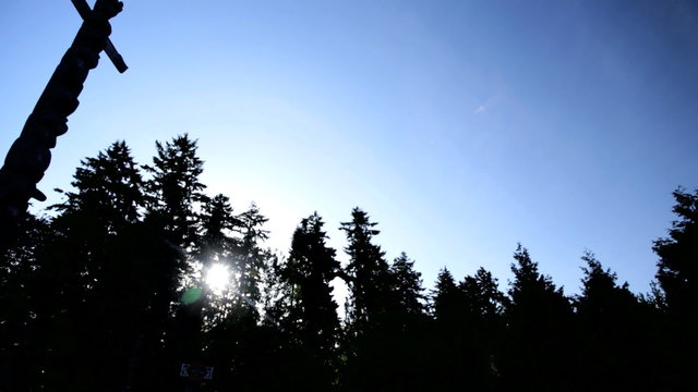 Vancouver Totem Pole Thunderbird Park Indigenous Hand carving Canada