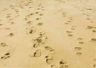 Fototapeta na wymiar Footsteps on sand