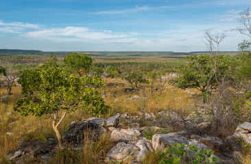 Landscape on Gib River Road