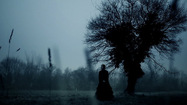 A spooky woman in a black dress stands in a foggy forest next to a tree