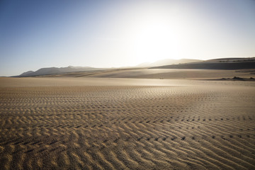 The Nature reserve, Park Natural, Corralejo, Fuerteventura, Cana