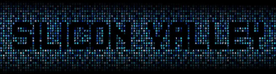 Silicon Valley text on hex code illustration