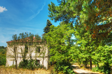 Fototapeta na wymiar old house in Burgos forest