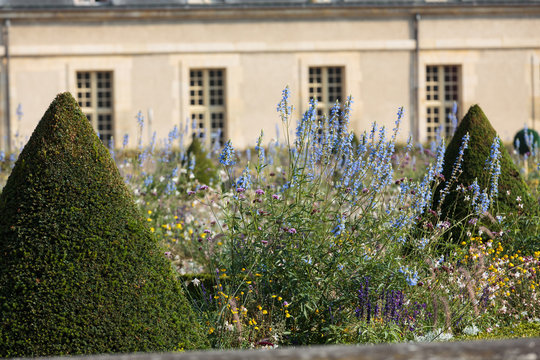 Park near main entrance Les Invalides. Paris, France