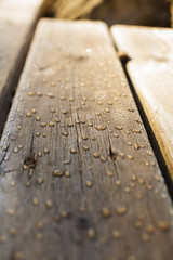 Gotas de lluvia