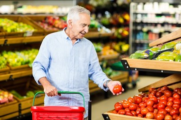 Senior man picking out tomatoes 