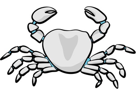 illustration crab