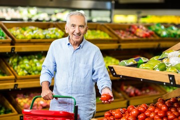 Senior man picking out tomatoes 