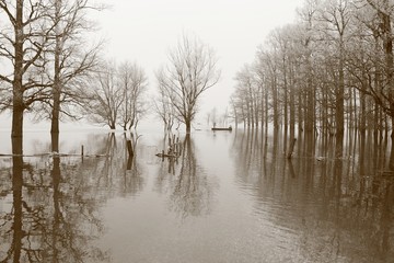 Obraz premium Men in boat during flood; scenic natural disaster