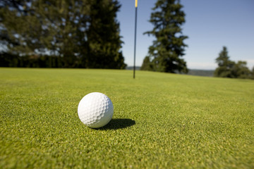 Golf ball on the green