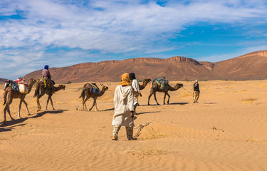 camel caravan going through the desert, Morocco