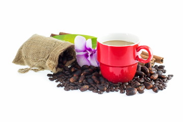 Coffee Beans and Cocoa Beans in bag , Flower , cinnamon and coff