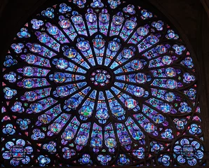 Foto auf Acrylglas Befleckt Kathedrale Notre-Dame de Paris
