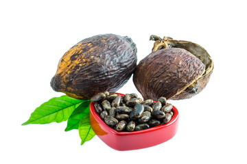 Cocoa pod, Cocoa beans, cocoa powder  on a white background.