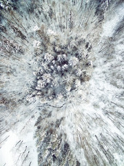 Beautiful aerial composition of frozen forest trees in winter