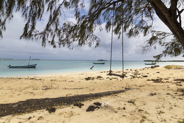 Rope seat on a tropical summer beach