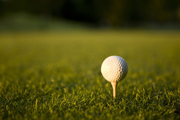 Step up and hit it , golf concepts