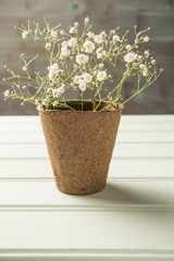 A bouquet of gypsophila flowers on the wooden table. Vintage style