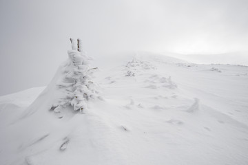 Harsh winter in the mountains with snow