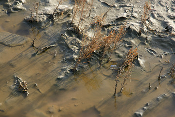 dirt desert  5
