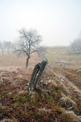 płot © wedrownik52
