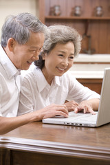 Senior couple using laptop