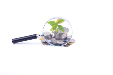 Magnifier glass and coin with plant on white background. Financi