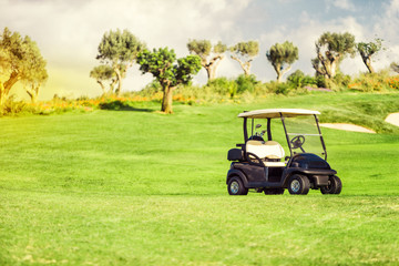 golf cart buggy on golf field