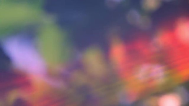 Awesome scene with pavonine sun rays close up against tree leaves in slow motion. Impressive natural vivid background in sunny day. Full HD footage 1920x1080
