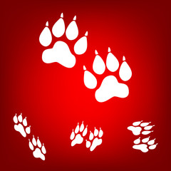 Animal Tracks. Vector illustration