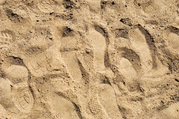 Footprints in the sand