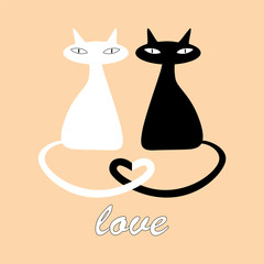 Black and white cats in love
