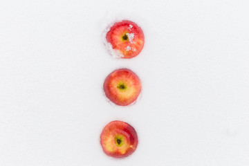 Red delicious Christmas apples resting in snow