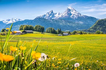 Foto auf Acrylglas Alpen Idyllische Landschaft in den Alpen mit grünen Wiesen und Blumen