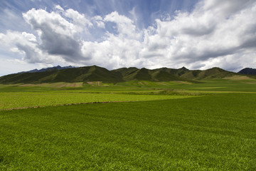 Mountain and field in Gansu province, China