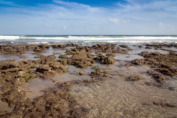 beach and stone atlantic sea florida
