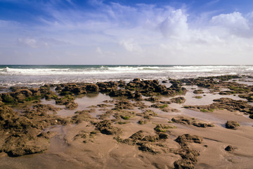 beach and stone atlantic sea florida