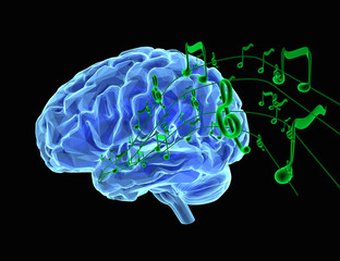 Music and Brain - 99545997