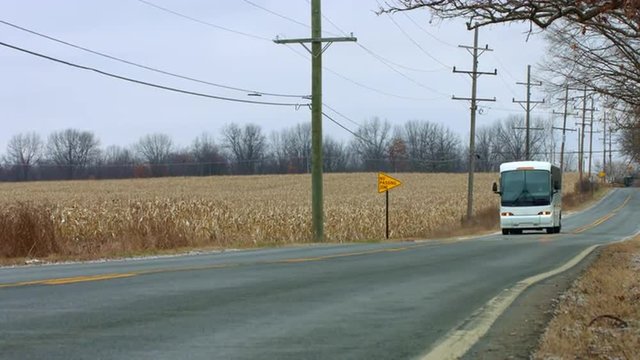 Coach (bus) passing a field of corn (maize).  Wide view, colored for a cold winter look.  Originally recorded in 4K, UHD.