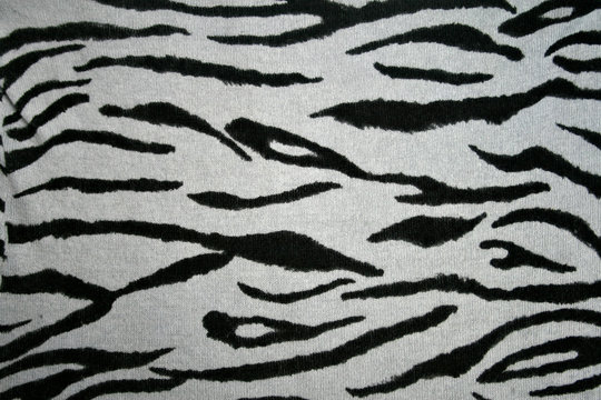 wildlife kulisse textur closeup backgrounds