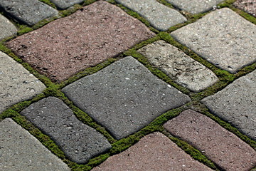 Old pavement of colored stones with growing the moss in the seam