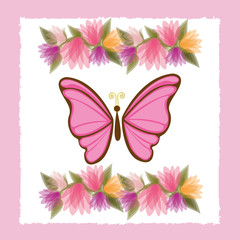 beautiful butterflies design 