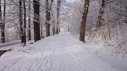 Winter road in mountains