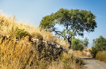 Obraz premium Hitzewelle